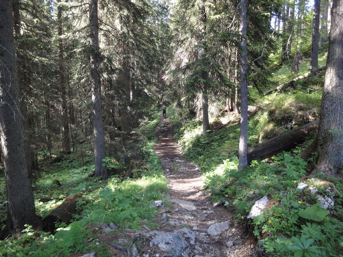 Rinnkendlsteig 07222.JPG