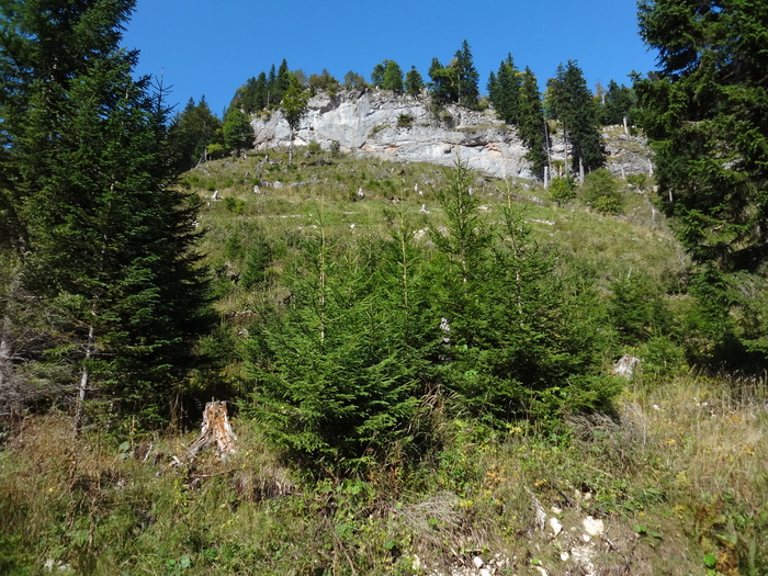 DDSC01385.JPG