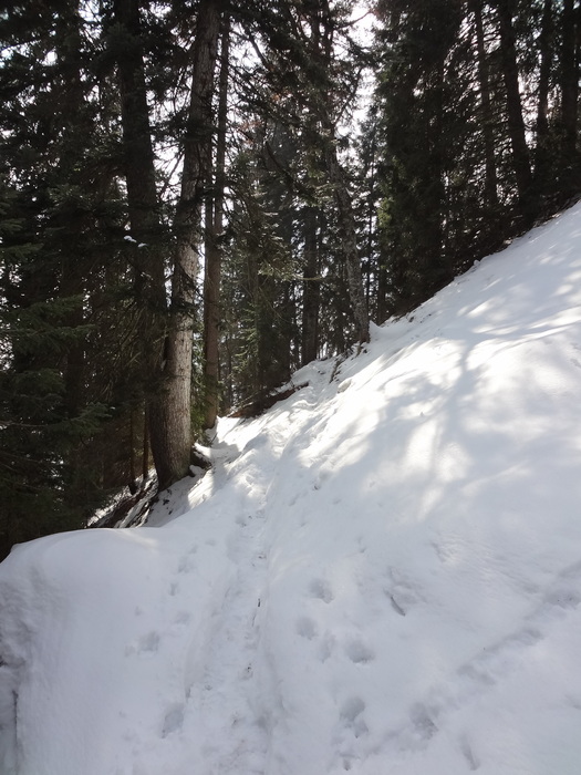 Schafkopf 05421.JPG