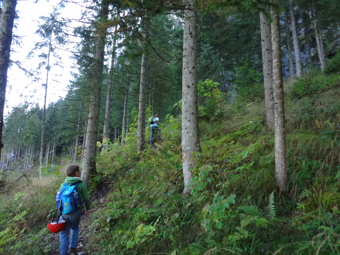 Schmied-Klettersteig 06396.JPG