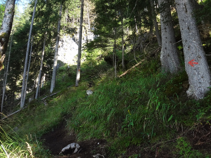 Schmied-Klettersteig 07044.JPG