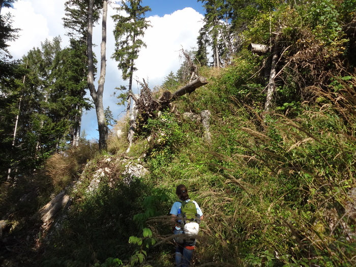 Schmied-Klettersteig 07084.JPG