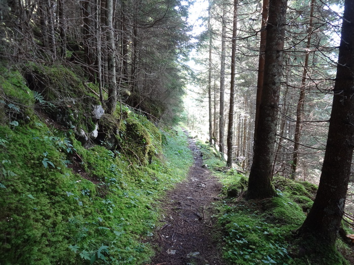 Schmied-Klettersteig 07107.JPG