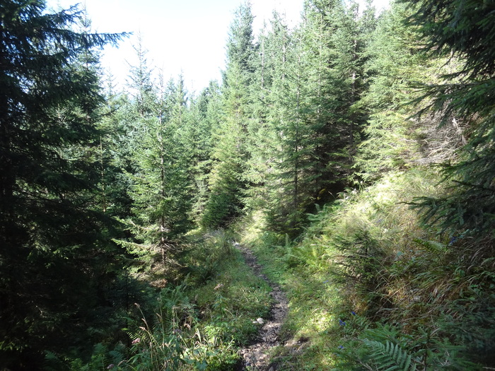 Schmied-Klettersteig 07110.JPG