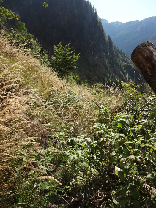 Schmied-Klettersteig 07124.JPG