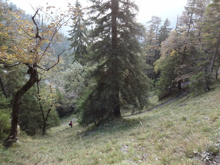 Schönjöchl 09200.JPG