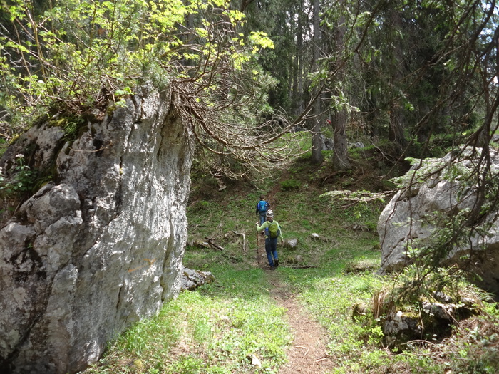 Schuastagangl-Klettersteig 04908.JPG