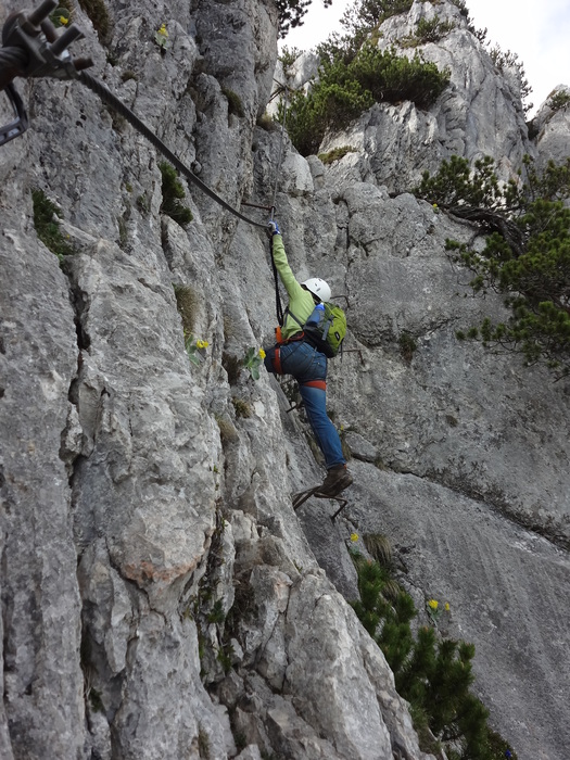 Schuastagangl-Klettersteig 05490.JPG