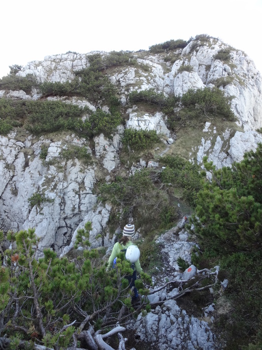 Schuastagangl-Klettersteig 05692.JPG