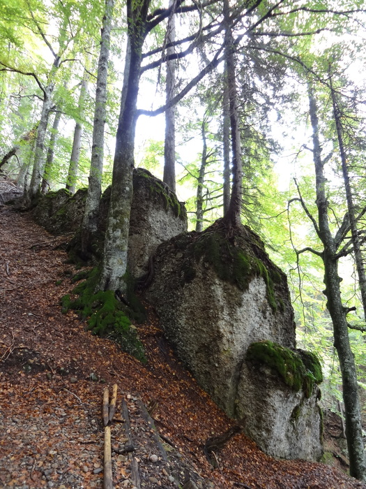 Siplingerkopf 00524.JPG