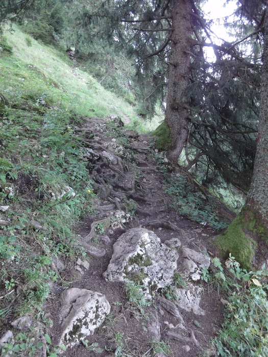 Sorgschrofen 00044.JPG