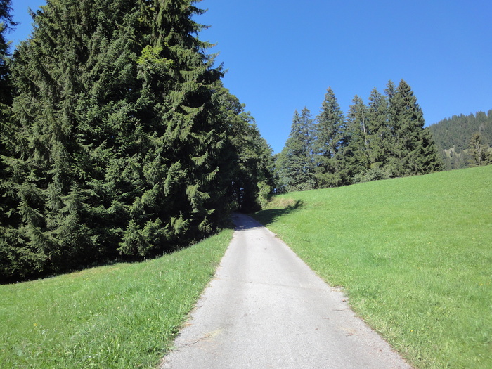 Sorgschrofen 09397.JPG