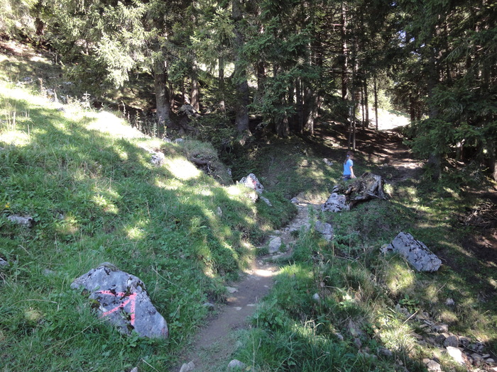 Sorgschrofen 09438.JPG