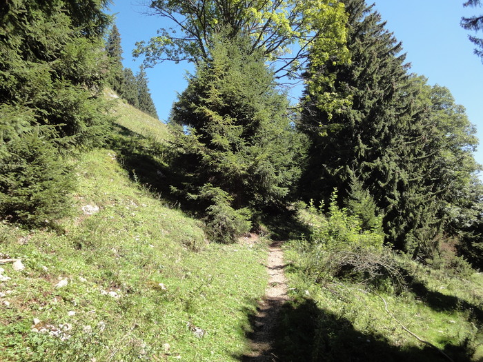 Sorgschrofen 09445.JPG