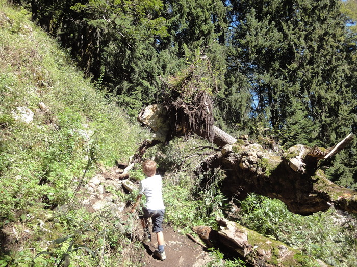 Sorgschrofen 09469.JPG