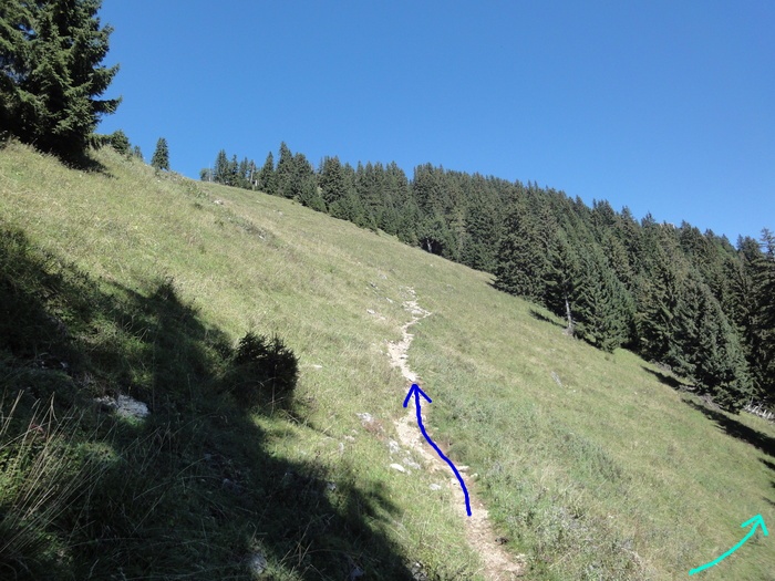 Sorgschrofen 09490.JPG