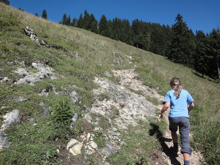 Sorgschrofen 09493.JPG