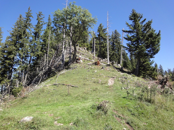 Sorgschrofen 09507.JPG