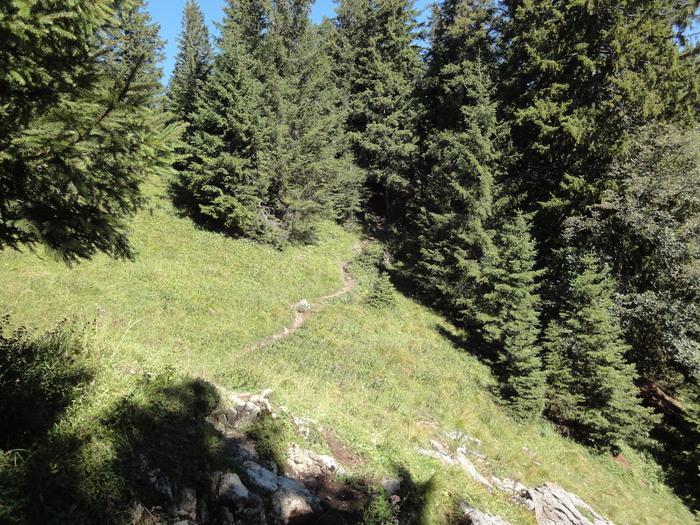 Sorgschrofen 09544.JPG