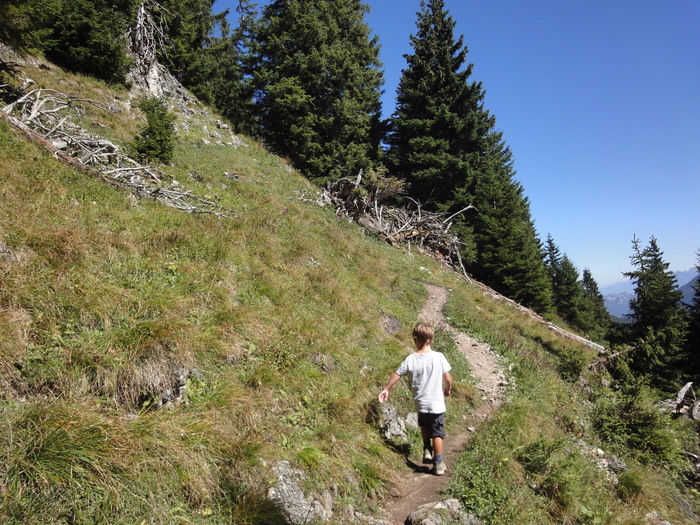 Sorgschrofen 09551.JPG