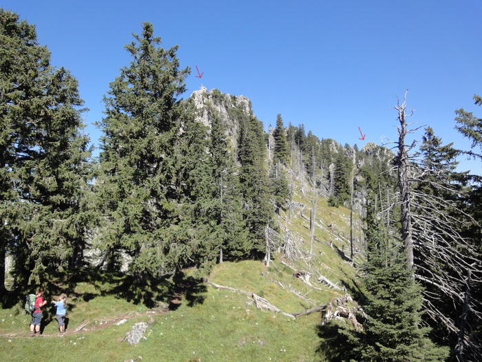 Sorgschrofen 09601.JPG