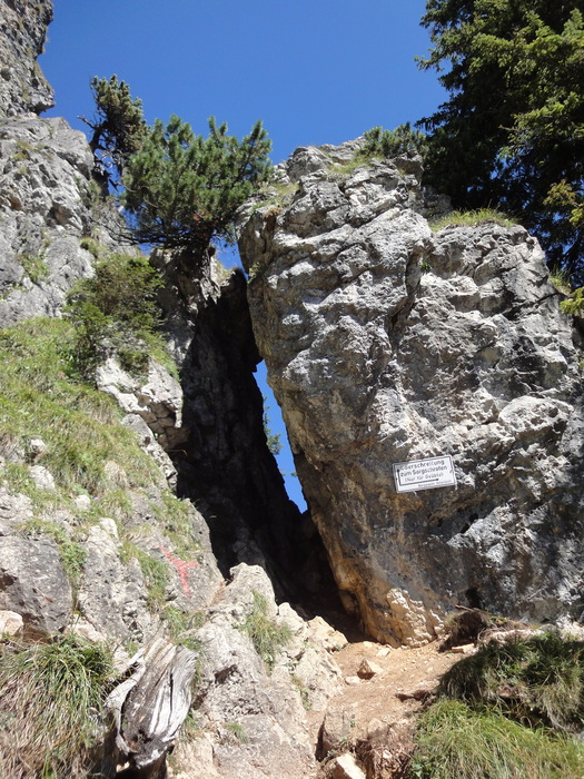 Sorgschrofen 09620.JPG