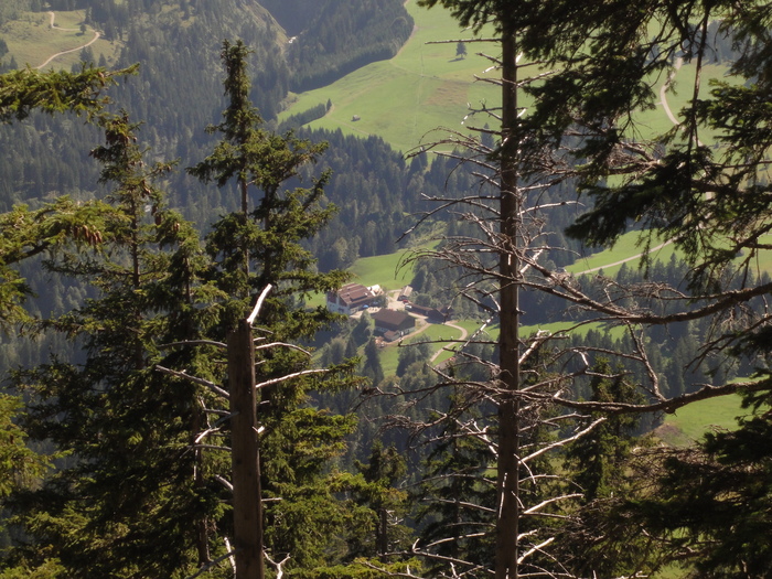 Sorgschrofen 09778.JPG