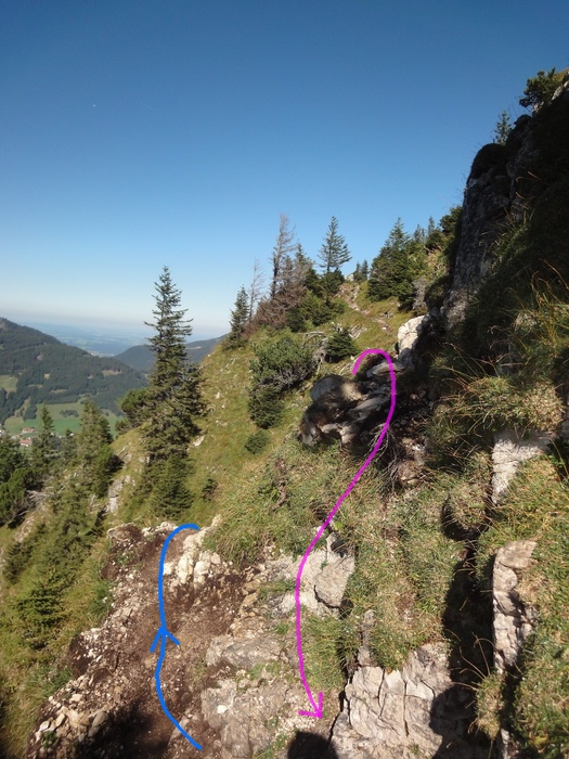 Sorgschrofen 09788.JPG