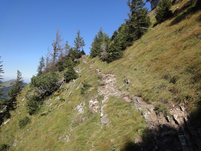 Sorgschrofen 09795.JPG