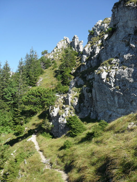 SDC17264.JPG