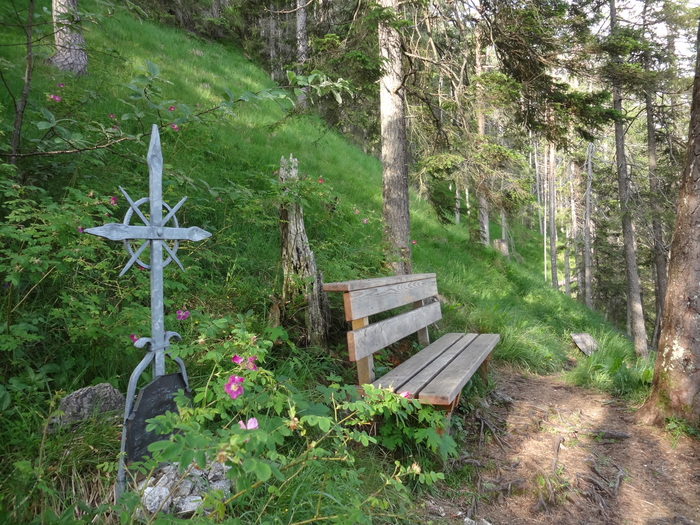 Speibenkäs 00118.JPG