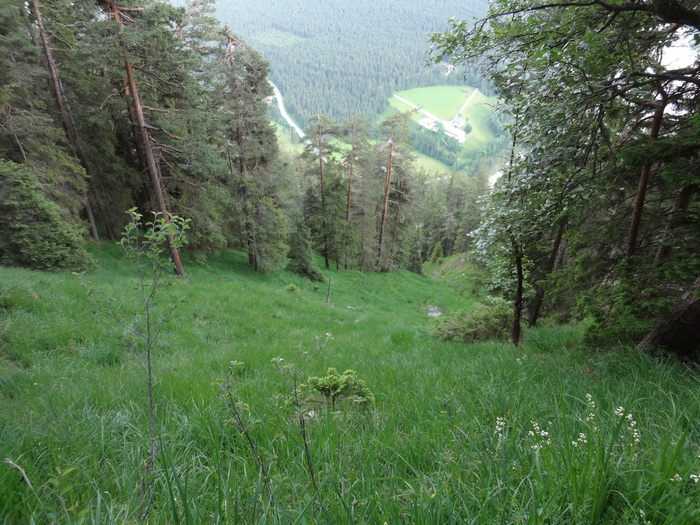 Speibenkäs 00122.JPG