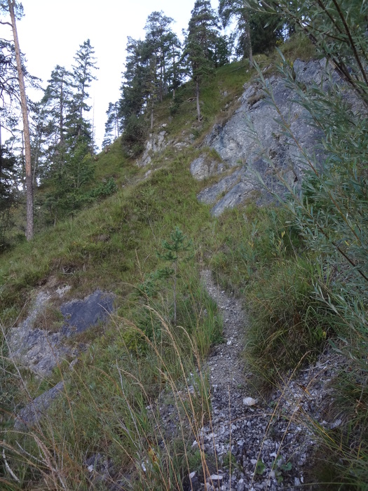 Speibenkäs 07080.JPG