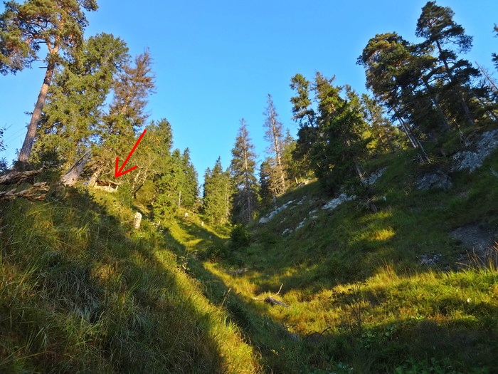 Speibenkäs 07106.JPG