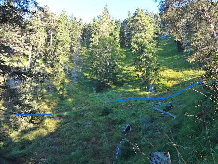 Speibenkäs 07136.JPG