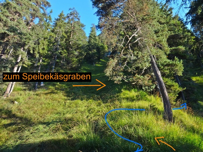 Speibenkäs 07143.JPG