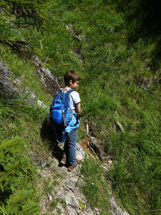 Speibenkäs 07746.JPG