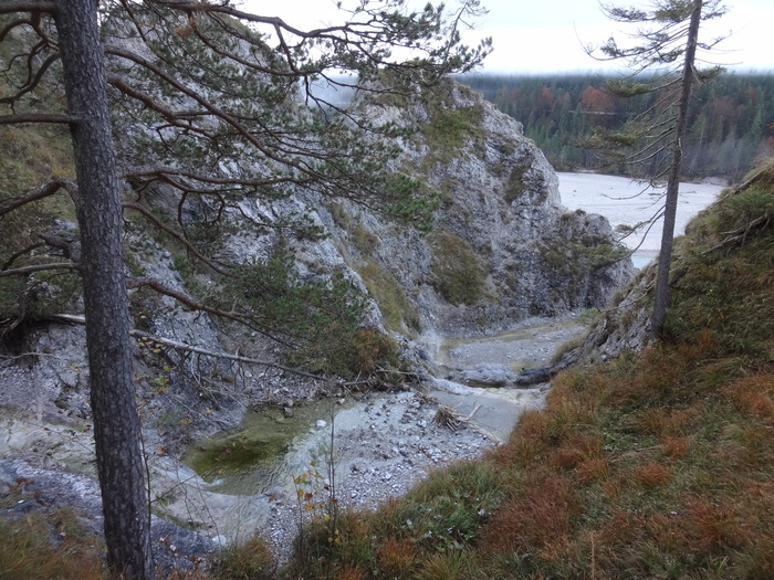 Speibenkäs 09414.JPG