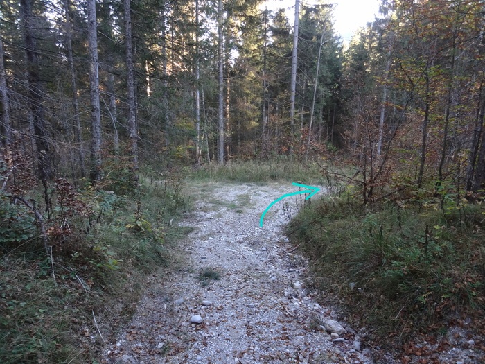 Speibenkäs 10361.JPG