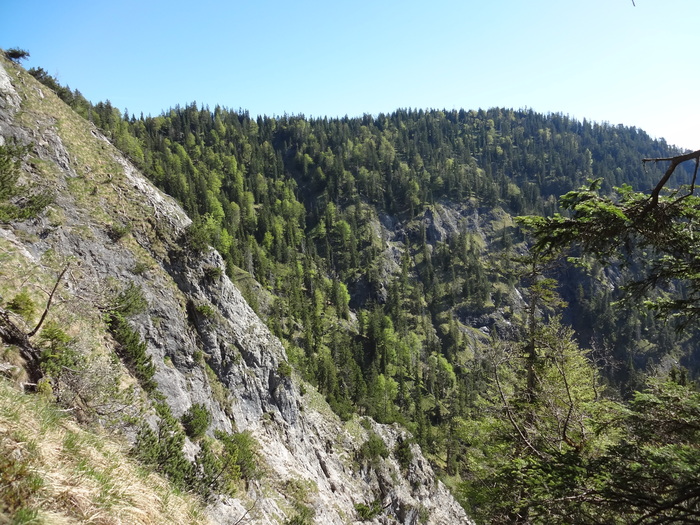 Speibenkäs 03929.JPG