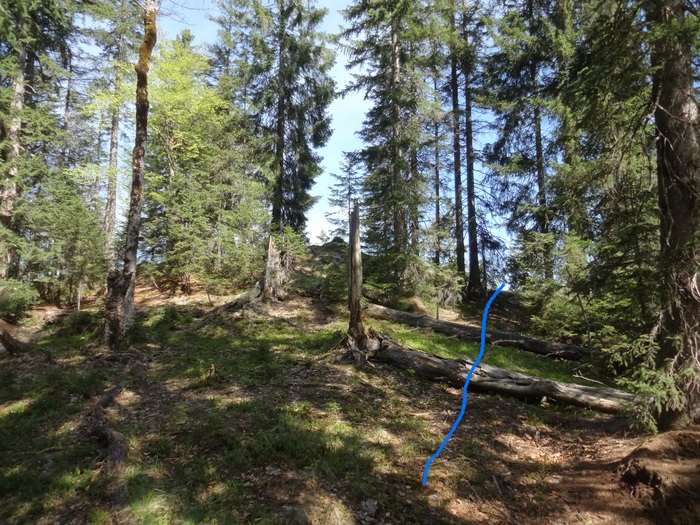 Speibenkäs 04054.JPG