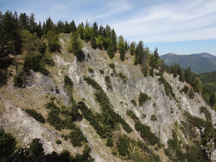 Speibenkäs 04191.JPG