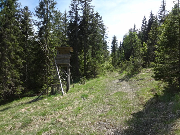 Speibenkäs 04540.JPG