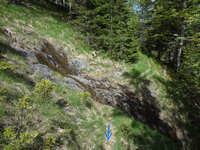 Speibenkäs 04626.JPG