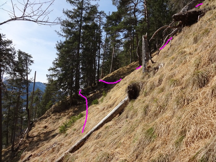 Speibenkäs 07282.JPG