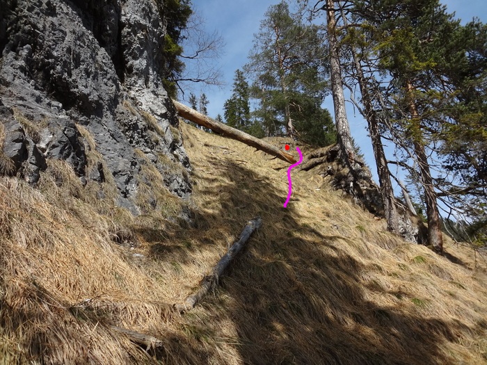 Speibenkäs 07399.JPG