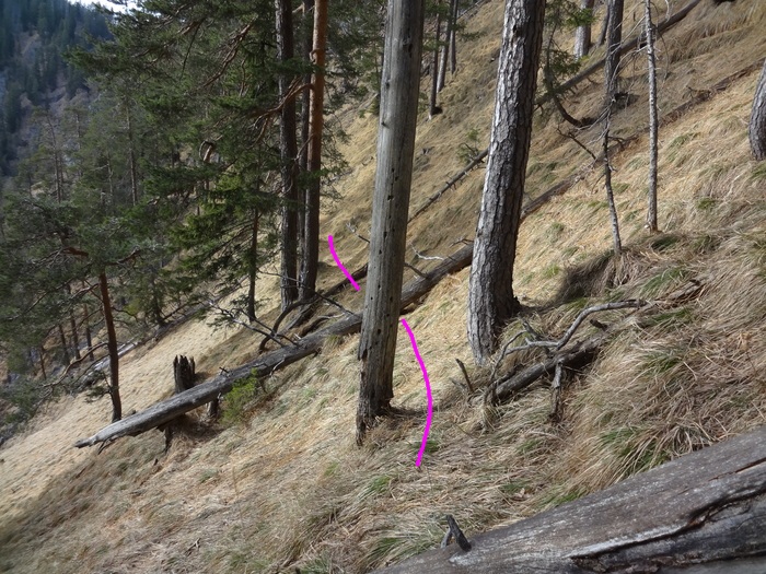 Speibenkäs 07642.JPG