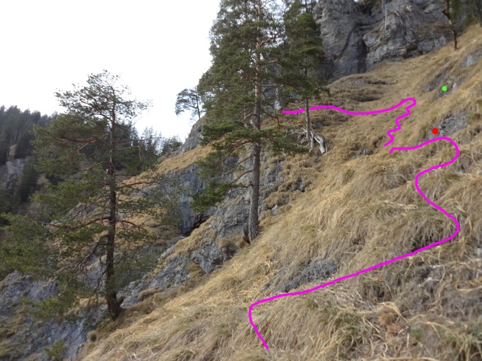 Speibenkäs 07729.JPG