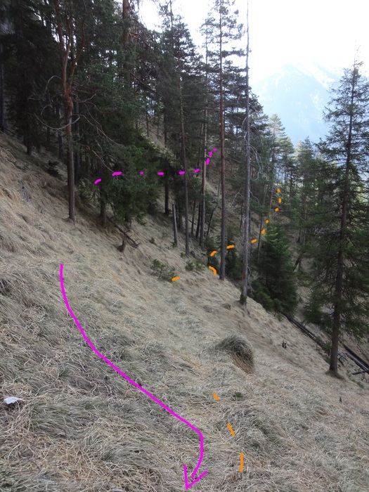 Speibenkäs 08653.JPG