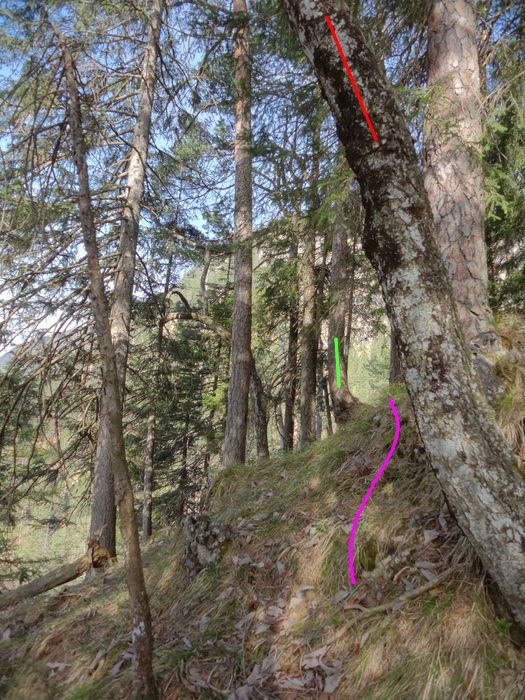 Speibenkäs 08727.JPG